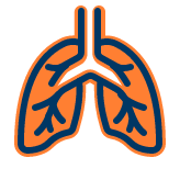 Lung Icon